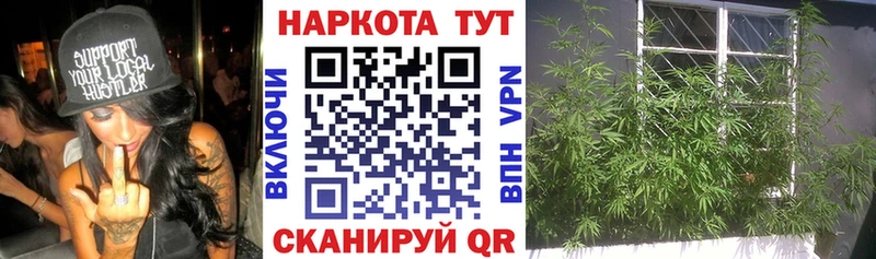 Купить закладку Кокаин  Мефедрон  АМФЕТАМИН  Конопля  Гашиш  Оса